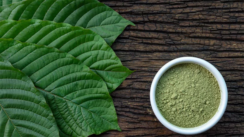 Kratom Powder